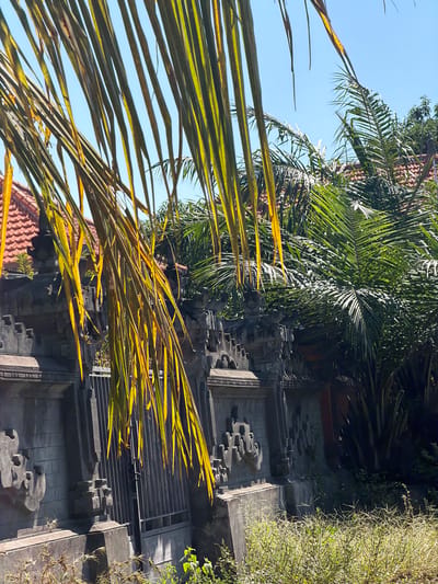 The image depicts an outdoor scene in Kubu, Indonesia, featuring a stone wall with intricate carvings and a metal gate. In the foreground, palm fronds, some yellowed and dry, hang down, partially obscuring the view. Behind the wall, lush green palm trees and a building with a terracotta roof are visible. The sky is clear and blue. The overall impression is one of a tropical environment with traditional Indonesian architecture.