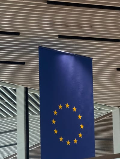 The image shows the European Union flag. The flag is blue with a circle of twelve yellow stars in the center. The flag is hanging in front of a building with a striped facade. The building is likely located in a European country. Based on the prompt mentioning the city of Ianeti in Georgia, the image may be from that location or related to it.