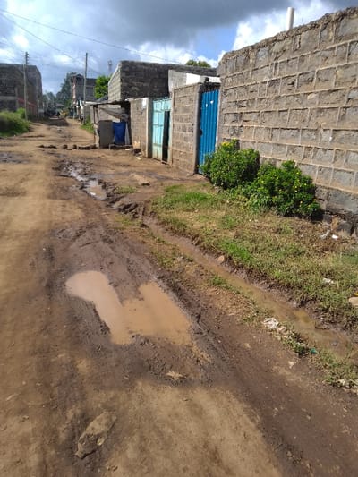 The image displays an unpaved, muddy dirt road in Njoro ward, Kenya, under an overcast sky. The road surface is uneven, characterized by several brown mud puddles and distinct tire tracks. Along the right side, a strip of green grass and sparse weeds borders a single-story structure constructed from unpainted grey concrete blocks. This building features a bright blue corrugated metal door, partially open, positioned next to a lighter blue metal gate. Two green bushes with small yellow flowers grow in front of the building. A narrow, water-filled drainage channel runs adjacent to the grassy strip. On the left side, a series of similar concrete block buildings extends into the distance, with smaller, temporary structures, including one covered by a blue tarp, visible between them. Utility poles with overhead lines are present further down the road. A white vertical pipe is visible on the roofline of the building on the immediate right. A communication tower is faintly discernible in the far background. No individuals, specific actions, or interactions are observable within the frame.