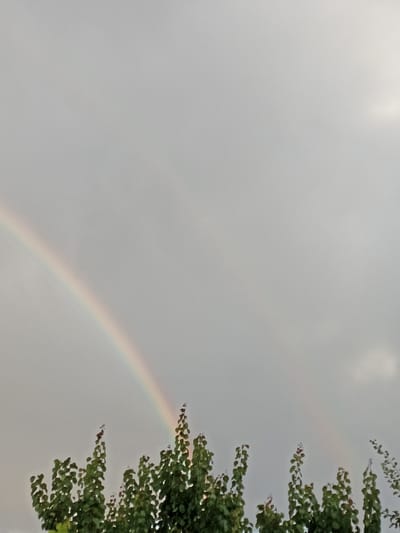 The image depicts a cloudy sky with a faint rainbow visible on the left side. The bottom portion of the image is filled with the tops of green trees. The overall scene is overcast and appears to be outdoors. There is no indication of the city of Magala, Moldova in the image.