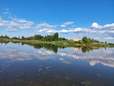 The image captures a serene natural landscape under a bright blue sky dotted with fluffy white clouds. The scene features a calm body of water, likely a lake or pond, that reflects the sky and the surrounding environment with remarkable clarity. Along the far bank of the water, a line of lush green trees and tall reeds creates a natural border. Among the trees, a building with a light-colored facade and red roof is visible, suggesting the presence of human habitation in the vicinity. The water's surface is disturbed in places by reflections and what appear to be submerged aquatic plants, adding texture to the tranquil scene. The overall impression is one of peaceful, rural beauty, potentially located in the Заямнаўскі сельскі Савет area of Belarus.