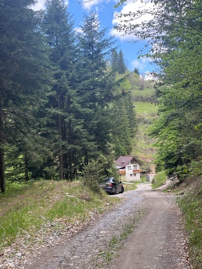 The image shows a dirt road lined with trees and a building, taken in what appears to be a rural area near Drianovo, Bulgaria. On the right side of the frame, a gravel and dirt road curves into the distance. To the left of the road, there is grassy verge and then tall evergreen trees. On the right side of the road is a car. In the distance, a two-story building with a brown roof is visible along the road. Behind the building, a hillside with green vegetation can be seen. The sky is visible through the trees, with patches of blue and white clouds. The image is taken at ground level, with the perspective leading towards the building and further into the distance along the road.