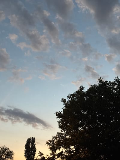 This media file is an image of the sky taken from below, looking upwards. The scene is dominated by a pale blue sky with scattered clouds of varying shades of gray and white. The clouds are puffy and wispy, suggesting a partly cloudy day. Silhouetted against the sky are the dark green branches and leaves of trees, framing the upper right and lower right portions of the image. The sun appears to be low in the sky, casting a warm, golden-yellow light towards the horizon on the right side of the frame, indicating either sunrise or sunset. The overall mood is serene and natural. There is no visible text in the image. The location context is Topolchane, Bulgaria.