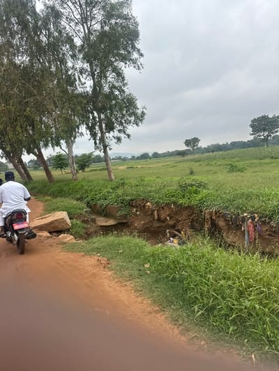 An over-the-shoulder shot captures a person on a motorcycle traveling on a dirt road in Katambe, Nigeria. The rider, wearing a white garment and a black cap, is positioned on the left side of the frame. The motorcycle is facing away from the viewer, heading towards the right. The road surface is a reddish-brown, dusty earth.

To the right of the road, a steep embankment is eroded, revealing soil and debris. This eroded area is littered with trash, including plastic bags and discarded clothing. Overhanging the embankment is lush green grass and vegetation.

Beyond the embankment, a vast, green field stretches into the distance, dotted with trees. In the background, rolling hills are visible under a cloudy, overcast sky. Several tall, slender trees with sparse foliage line the left side of the road, their trunks leaning at various angles. The overall impression is of a rural or semi-rural landscape.