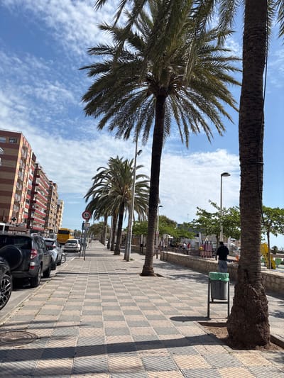 The photograph depicts a street scene in El Port De Sagunt, Spain. The image is oriented vertically. The viewpoint is from street level, looking down the sidewalk. A row of palm trees lines the left side of the sidewalk, obscuring the view of the blue sky with scattered clouds. The street and adjacent buildings are on the right. Parked cars are lined up along the curb. A striped multi-story building is in the background. A yellow vehicle is also visible on the street. The sidewalk is paved with patterned tiles. A person in dark clothing stands near a trash receptacle on the sidewalk in the distance. A traffic sign can be seen further down the street.