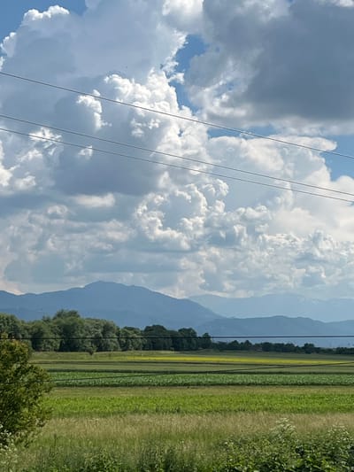 This image depicts a rural landscape with layered elements under a dramatic sky. The foreground consists of tall, dry grasses with some white wildflowers. Behind this, several rows of cultivated fields stretch horizontally, displaying varying shades of green and a strip of yellow, likely crops. A dense line of lush green trees forms a dark barrier behind the fields. Further in the distance, layered mountain ranges fade into a hazy blue. The sky is filled with large, puffy white cumulus clouds against a bright blue sky, with three dark power lines stretching horizontally across the upper portion of the image. The scene is devoid of people and activity. The location is identified as Colonia Bod, Romania.