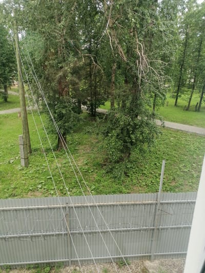 The image depicts a view from above, looking down on a grassy area with trees and a corrugated metal fence topped with barbed wire. In the foreground, the fence runs horizontally across the lower portion of the image. Behind the fence, a patch of green grass is visible, interspersed with some weeds and small plants. Several trees with dense foliage dominate the middle ground, casting shadows on the grass. A concrete path winds through the grassy area. In the background, more trees can be seen, with some appearing to be in a park-like setting. Several utility poles with wires are also present, running diagonally across the image. The scene appears to be an outdoor urban environment, possibly a residential area or a park, located in Комсомольский, Russia. There are no people or animals visible in the image.