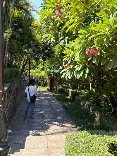 A lone individual wearing a white t-shirt and blue jeans walks down a stone pathway lined with lush green bushes and trees. The person carries a black shoulder bag and is seen from behind, heading away from the camera. The pathway is illuminated by dappled sunlight filtering through the dense foliage. A stone wall runs along the left side of the path, and a lamppost is visible further ahead. In the background, a vibrant red structure is partially visible, suggesting a building or feature within the park-like setting. The overall scene depicts a serene outdoor environment, possibly a garden or a park, in Tuy Hoa Ward, Vietnam.