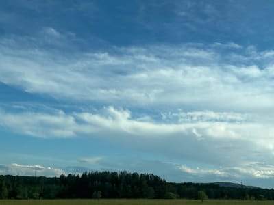 The image shows a daytime scene of a landscape in Malaya Tsarevschina, Russia. A field of low-lying vegetation occupies the foreground. Behind the field is a dense line of trees, marking the horizon. The sky dominates the upper portion of the image, filled with wispy, horizontal clouds. In the distance, subtle power line towers are visible, and a faint mountain can be seen on the horizon.