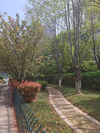The image depicts a park scene in Jianye District, China. A pathway leads into a green area, lined with trees and shrubbery. The foreground features a green metal fence bordering a sidewalk and a row of reddish-brown bushes. Pink-flowered trees are visible on the left. In the background, a building can be glimpsed through the trees. The pathway is made of paving stones. Leaves are scattered on the ground. A fire hydrant and bicycles are visible near the sidewalk on the left. The overall scene suggests a tranquil urban park environment.