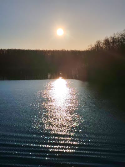 The image shows a body of water reflecting sunlight at sunset. The sun is high in the sky, casting a bright reflection across the surface of the water. Dark silhouetted trees line the horizon behind the water. The water's surface has some waves creating sparkles. The sky is clear. The location is Kurdiug, Russia.