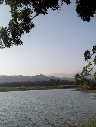 A serene lake fills the foreground, its surface gently rippled. A band of trees lines the opposite shore, backed by hazy mountain ranges. Branches with lush green leaves frame the upper portion of the image, partially obscuring a pale blue sky. The scene evokes a sense of tranquility and natural beauty.