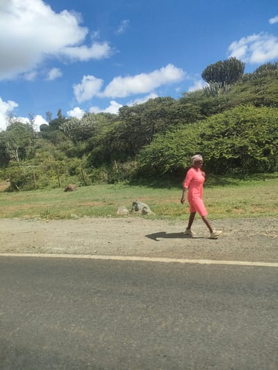 A woman in a coral-colored dress and head covering walks along a dirt shoulder next to an asphalt road. The shoulder is lined with a white painted line. Behind the shoulder, a grassy embankment rises, covered with shrubs, trees, and tall, candelabra-shaped cacti. The sky is blue with scattered white clouds. Based on the geography and the prompt, the location is Kisima ward, Kenya.