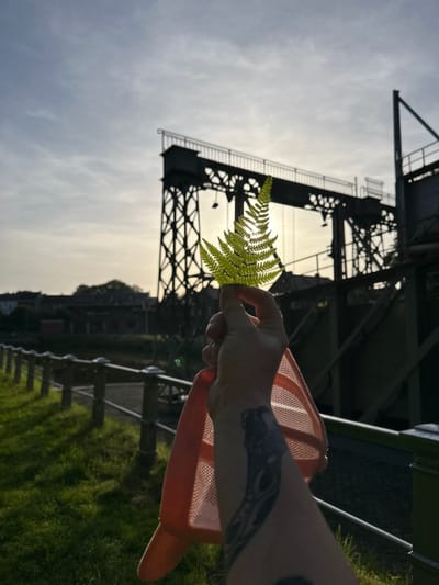 The photo depicts a person holding a fern leaf and an orange plastic scoop in front of a Scherpenheuvel bridge in La Louvière, Belgium. The Scherpenheuvel bridge is constructed of dark metal. The person has a tattoo on their arm. The sky is overcast and the surrounding area is green with vegetation. Buildings can be seen in the background. The image is slightly tilted.