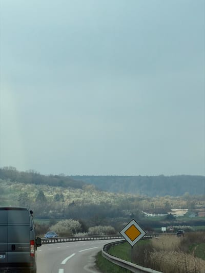 The image displays a rural road scene near Toul, France, under an overcast, light blue-gray sky. In the foreground, the rear of a dark panel van, possibly a Mercedes-Benz Sprinter variant, is visible on the lower left, displaying a partially visible European license plate ending in "KJ". To its right, an asphalt road curves sharply to the viewer's right, delineated by white solid and broken lane markings. A yellow diamond-shaped priority road sign with a white border is positioned on the right side of the road, beside a metallic guardrail that follows the curve, bordering an area of dry, tall grasses. Further along the curved road, a blue car with illuminated headlights is visible, heading away from the viewer. In the midground, a landscape of rolling hills is densely covered with a mix of deciduous trees, many displaying profuse white blossoms, characteristic of spring. Structures with light-colored roofs are discernible among the trees on the right side of the midground, with a darker band of forest forming the distant horizon. A dark SUV or car is partially visible near another, smaller road sign further in the distance on the right. No individuals are visible.