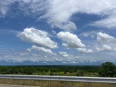 The image depicts a panoramic view of a rural landscape under a sky filled with scattered white cumulus clouds against a bright blue backdrop. In the foreground, a silver metal guardrail runs horizontally across the bottom of the frame, with dry grasses and some wildflowers visible on the roadside below. Beyond the guardrail, a dense expanse of green trees and foliage stretches out, forming a rolling landscape that recedes into the distance. The terrain appears to be mostly flat with some gentle undulations. In the far distance, a hazy range of mountains or hills can be seen under a layer of darker clouds, suggesting potential weather activity. The overall impression is one of a vast, open, and natural environment. There are no people or animals visible in the image, nor any specific urban structures to suggest a city location.