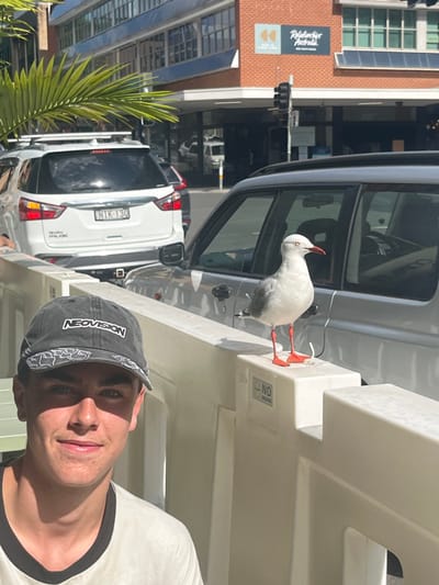 A tilted outdoor snapshot shows a man in a 'NEOVISION' cap. A white bird with a red beak and orange feet stands on a white ledge next to a gray vehicle. Behind them, cars and a building with a visible sign are visible. The scene is brightly lit, with shadows cast on the man's face. A green plant is to the side, enhancing the urban setting.