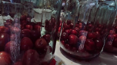 The image displays a close-up, low-angle view of several glass jars filled with ripe, dark red plums. The jars are positioned on a surface adorned with a snowflake-patterned tablecloth. The plums are densely packed within the jars, with some visible condensation on the glass surfaces, suggesting the jars may be in the process of being preserved. The lighting is dim, casting a slightly diffused glow on the scene. The background is out of focus, hinting at an indoor setting with subdued ambient light. The overall impression is one of homemade preservation, likely preparing for winter storage.
