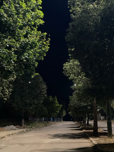 A dark street view in Dar Oum Soltane, Morocco, with trees lining the sides. Streetlights, though not clearly visible, illuminate the foliage. A paved road runs along the right side of the frame. Trees and possibly some buildings are on either side of the road, but the details of these are indistinct.