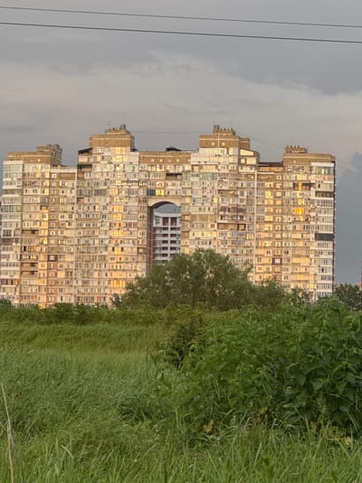 The image shows a tall, multi-story apartment building in Starobzhegokay, Russia. The building's facade consists of numerous windows reflecting golden sunlight. Dense green vegetation, including tall grass and bushes, fills the foreground. Power lines are visible against a cloudy sky.