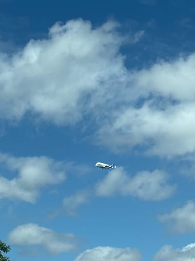 A white aircraft with blue accents is flying in a bright blue sky with scattered white clouds. The aircraft appears to be a cargo plane, possibly an Airbus Beluga, characterized by its distinctive bulbous fuselage. The image is taken from below, looking up at the aircraft. The lower left corner of the image shows a hint of green foliage, suggesting the photo was taken from ground level. The scene is outdoors, under daylight conditions. There are no people visible in the image. The location in the city of Chester, United Kingdom, is not discernible from the visual information provided in the image.