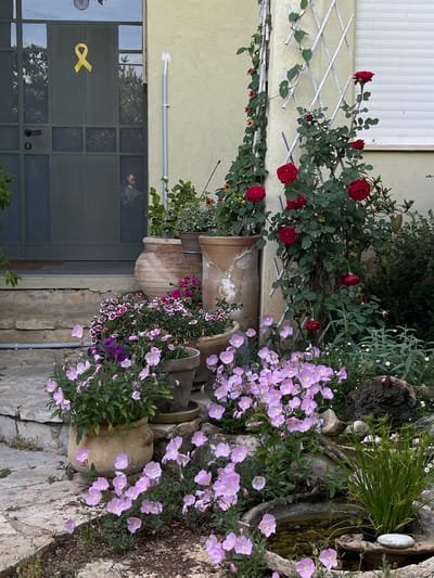 The image shows a scene in front of a house in Alon HaGalil, Israel. It appears to be a residential area. A yellow ribbon is displayed on the front door of the house. A person is visible inside the house through the glass panels of the door. A rose trellis is located to the right of the front door.  A variety of potted plants are placed near the house.  The ground is covered in loose gravel and rock.  The area appears to be a garden or patio.  There is a small pond located to the right of the scene with a small waterfall feature.