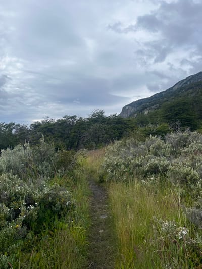 A narrow, dirt path curves through tall green and tan grasses interspersed with gray-green shrubs. A dark-green forested hillside rises steeply alongside the path. Above, a gray, overcast sky with thick, layered clouds dominates the scene. The image is taken from a low angle, emphasizing the path's upward trajectory. The lighting is diffused, creating a soft, muted atmosphere.