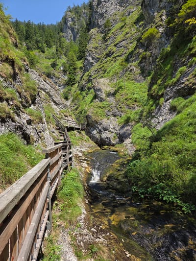 A wooden boardwalk with railings winds along the side of a rocky, green gorge. A narrow stream flows through the bottom of the gorge, with a small waterfall visible. The gorge walls are steep and covered in vegetation, including grass and trees. The sky is clear and blue. The scene appears to be in the area of the Gößnitz Waterfall in Landl, Austria.