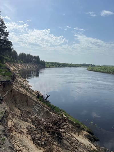 The image presents a landscape near the city of Новоклязьминское, Russia. A wide river flows between forested banks, with its surface reflecting the sky above. The foreground features a sandy, eroded embankment covered with vegetation and exposed tree roots. The sky is partially covered with cumulus clouds. No people or animals are visible.