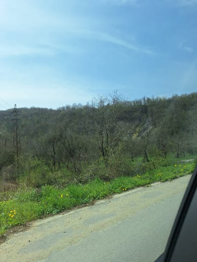 A roadside view with a paved road on the right, bordered by grass and scattered yellow flowers. Adjacent to the road is a heavily wooded hillside. In the background, a blue sky with thin clouds is visible. An electrical pylon is positioned along the hillside. The image appears to be taken from inside a vehicle. The location is Касапите, Bulgaria.