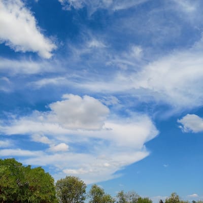 A wide shot captures a vibrant blue sky filled with a mix of fluffy white cumulus clouds and wispy cirrus clouds. The clouds are scattered across the sky, with some appearing larger and more defined, while others are delicate and stretched out. In the lower portion of the image, the tops of several lush green trees are visible, forming a natural border against the sky. The scene suggests a clear and pleasant day in an outdoor environment. There is no indication of the specific location within Pamiers, France, as there are no identifiable landmarks or distinguishing features.