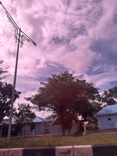 The image depicts a street scene with a prominent lamp post on the left, a large tree in the center, and buildings with light blue roofs in the background. The sky is filled with clouds, tinted pink and purple, suggesting either sunrise or sunset. Some smaller trees and vegetation are visible in the foreground and around the buildings. The overall impression is one of an outdoor environment, possibly a residential or institutional area in the city of Buengpageu, Indonesia. There are no people or specific actions discernible in the image.
