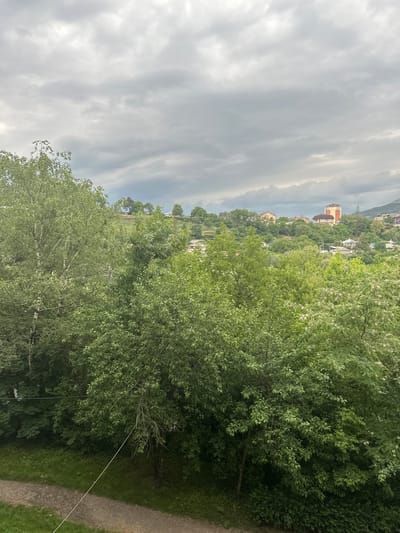 The image depicts an overcast sky with dense, grey clouds. In the foreground, lush green trees dominate the scene, with a prominent birch tree on the left. A dirt path runs along the bottom left of the image, bordered by grass. In the middle ground and background, a cityscape unfolds on a hilly terrain. Various buildings, including houses and a taller orange apartment building, are nestled amongst the trees. The overall impression is of a residential area surrounded by abundant vegetation under a moody sky.