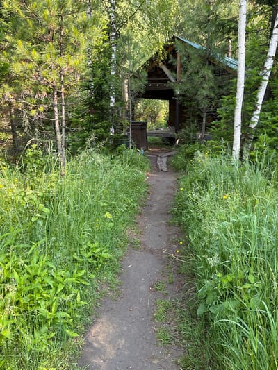 A narrow dirt path leads through tall green grass and trees towards a rustic wooden cabin with a green metal roof. The cabin has an open front entrance with wooden supports visible. Several pine trees and birch trees surround the path and cabin, and there are small yellow wildflowers interspersed among the grass. The scene appears to be set in a natural, wooded environment, possibly in or near Bol'shaya Rechka, Russia, given the context of the request. No people are visible in the image.