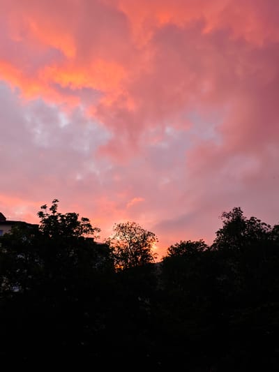 The image shows a sunset in Urozhainyi, Russia. The sky is filled with pink, orange, and red clouds. Silhouetted trees line the horizon at the bottom of the image. A building is partially visible behind the trees on the left side of the frame.