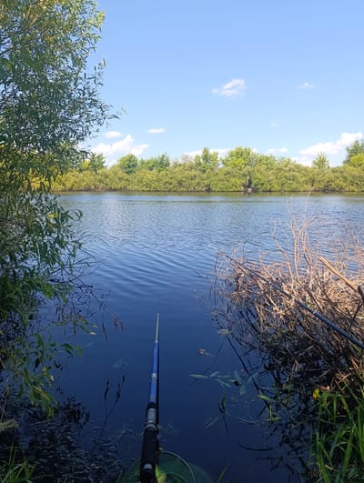 The image depicts a serene riverside scene under a clear blue sky with scattered white clouds. In the foreground, a blue and black fishing rod is positioned over the dark blue water, with a fishing net visible at the bottom. The water is calm with slight ripples, reflecting the surrounding vegetation and sky. The left bank is lined with lush green trees and branches hanging over the water. The right bank is a dense thicket of dry, brown branches and green grass. Across the river, a line of dense green trees forms the distant shoreline. The location is identified as Zhdanov rural district, Kazakhstan. There are no people visible in the image.