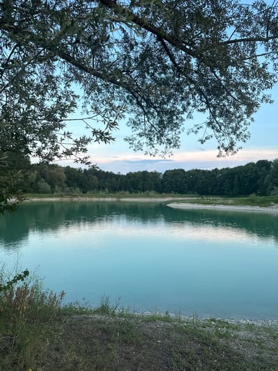 The image depicts a serene natural landscape beside a calm, turquoise lake. In the foreground, the leafy branches of a tree with small, oval leaves extend from the left side of the frame, its dark silhouette contrasting with the bright sky. Beyond the tree, the lake dominates the mid-ground, its surface rippling gently, reflecting the soft hues of the sky. A narrow, sandy path runs along the edge of the lake, bordered by a dense line of dark green trees. In the distance, more trees form a lush, dark green backdrop. The shoreline is composed of gravel and patches of dry grass, with some green vegetation and dried seed heads closer to the viewer. The sky above is a pale blue, with hints of soft pink and white clouds, suggesting it might be late afternoon or early evening. The overall atmosphere is peaceful and tranquil, conveying a sense of natural beauty and calm. There is no visible text in the image.