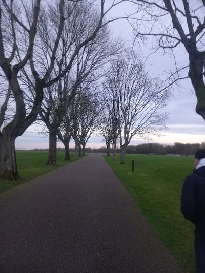 The image displays a serene outdoor scene, likely a park or memorial grounds, under an overcast sky. A dark, paved pathway, possibly asphalt, extends diagonally from the lower right towards the upper left, disappearing into the distance. The path creates a strong leading line through the composition.

On the left side of the path, a row of mature deciduous trees stands with bare branches, indicating late autumn, winter, or early spring. Their intricate, gnarled branches are silhouetted against the pale, diffused light of the sky. To the right of the path, and also beyond the trees on the left, there is a wide expanse of neatly maintained green grass. Further down the path, a small, dark vertical marker or pole is visible on the grassy verge to the right.

In the upper right corner of the frame, a person is partially visible, seen from the head to the upper torso, wearing a dark jacket. They appear to be walking along or observing the scene. In the background, beyond the trees and grass, a narrow strip of lighter sky suggests the horizon, possibly over a body of water or distant land, with a faint treeline visible in the far distance. The light suggests either early morning or late afternoon, and the overall mood is quiet and contemplative. There is no visible text in the image. Given the location context of Givenchy-en-Gohelle, this setting could be part of the Vimy Ridge Memorial Park.