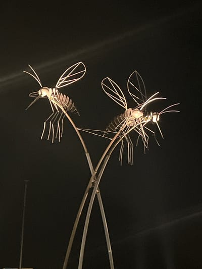 The image shows two stylized, possibly metal, insect sculptures, likely meant to resemble dragonflies. They are mounted on a series of rods that curve and branch. The background is a dark void. The photograph was taken in Dübendorf, Switzerland.