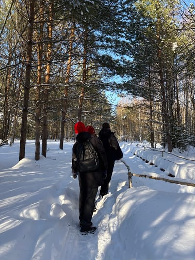 Three individuals are observed from behind, walking single file along a snow-covered path through a dense coniferous forest in Kol'tsovo, Russia. The path is a cleared track, deeply trenched into fresh snow, with high snowbanks on either side. The leading individual wears a red knit hat, a dark jacket, dark pants, and a black backpack. The second person, partially obscured by the first, also wears a red knit hat and dark attire. The third person, largely obscured, wears dark outerwear. To the right of the path, a low, rustic barrier constructed from light-colored wooden branches is visible, partially embedded in the snow. The forest consists primarily of tall pine trees with snow dusting their branches. The ground is uniformly covered in thick snow. Bright sunlight filters through the trees, casting distinct shadows on the snow-covered terrain under a clear blue sky, indicating a cold, clear winter day.