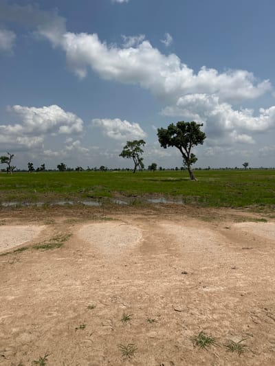The media file captures a rural landscape in Garin Dogo, Nigeria. The scene depicts a vast, flat expanse of green grassland with scattered trees. A sandy, dirt path runs diagonally across the right side of the frame, bordered by the grass. In the distance, a line of trees stretches across the horizon, suggesting a clearing or the edge of a larger vegetation area. The sky is partly cloudy with large, white cumulus clouds against a bright blue background. The lighting suggests it is daytime, likely mid-morning or afternoon, with the sun casting soft shadows. There are no people or specific objects visible besides the natural elements of trees, grass, earth, and sky. The overall impression is one of open space and natural beauty, typical of a savanna environment. There is no visible text in the media file.
