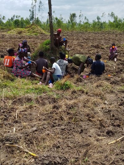 In a cultivated field, a group of people rests. One man sits on a tree, drinking from a blue cup. Others are seated on the ground, also drinking from cups of various colors. Some individuals wear brightly colored clothing, while others wear more subdued tones. The field appears recently tilled, with patches of grass and dry straw scattered across the surface. Tall trees are visible in the background, suggesting a rural or agricultural setting.