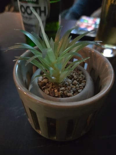 This image depicts a small potted plant situated on a dark surface in an indoor setting within Negorci, North Macedonia. The plant, resembling a young pineapple or bromeliad, features multiple stiff, light green leaves emanating from a central stalk. It is contained within a small, light grey, concrete-like pot filled with light-colored gravel or pebbles. This inner pot is placed inside a larger, decorative, light greenish-brown ceramic pot that has vertical rectangular cut-outs around its circumference. In the blurred background, a dark green bottle with a partial white label displaying "OOTH" and "H" is visible to the left. To the right, a glass containing a light-colored liquid, possibly beer, and a blurry reflection of colorful lights or objects are present. A dark, indistinct form, possibly a person, is faintly discernible in the far background. No people are directly visible or engaged in actions. The scene is static and dimly lit.