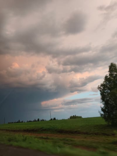 The image shows a landscape with a large expanse of sky dominating the upper portion. The sky contains heavy, dark storm clouds on the left, transitioning to lighter, pink-tinged clouds and patches of blue towards the right.
Below the sky, a green field extends horizontally across the scene. In the mid-ground, there are scattered trees and utility poles rising from the field. A blurry tree is visible in the right foreground. The image is blurred and appears to have been taken in motion, perhaps from a moving vehicle. There is a road or path running along the bottom edge of the image.
Based on the prompt's location information, the scene is likely a rural area in or around Verkhnechusovskie Gorodki, Russia.