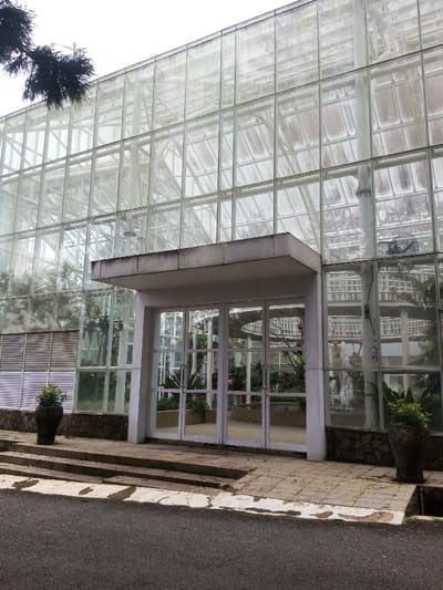 A massive glass greenhouse with a concrete entrance dominates the scene. A set of double doors, framed by white columns and topped with a flat concrete overhang, provides entry. Two large, dark-colored pots flank the entrance, each holding a green plant. Steps lead up to the doorway from a tiled walkway. The structure’s glass panels, arranged in a grid-like pattern, reflect the surrounding greenery and sky. An asphalt road occupies the foreground.