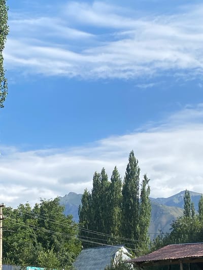 The image shows a view of a rural or semi-rural area, possibly on the outskirts of the city of Bel-Aldı, Kyrgyzstan. The sky is a vibrant blue with scattered, wispy white clouds. In the mid-ground, a line of tall, slender, dark green trees stands prominently. Behind these trees, a range of mountains, appearing rugged and somewhat hazy, forms the distant background. In the foreground, there are hints of human habitation, with the roofs of what appear to be houses visible, one with a dark, textured roof and another with a reddish-brown, possibly corrugated metal roof. Power lines and a utility pole are also present, suggesting a settled area. The overall impression is one of a natural landscape interspersed with signs of human life.