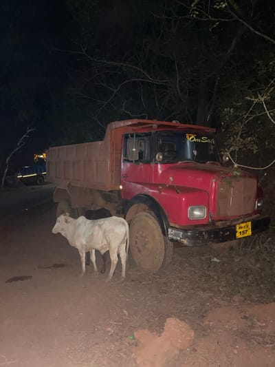 The image shows a red truck partially off a dirt road. The truck has a yellow license plate that reads "MH 07 X 157". The words "Om Sai" are visible on the truck's cab. A light-colored cow stands on the road next to the front of the truck. The setting appears to be rural with trees and vegetation visible. The location is unspecified, but it is purportedly in Bhagatwadi, India. The scene is dark, suggesting it is night. There is a secondary vehicle and possible persons visible further down the road.