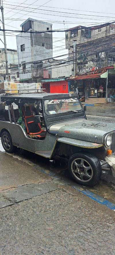 The image depicts a street scene in Mandaluyong City, Philippines, under rainy conditions. A weathered, grey jeepney with a black soft top and orange and black seats is parked on the side of a wet, asphalt road, marked with a blue line. The jeepney has a rack on top carrying several boxed items. A sticker on the windshield reads "OFF ROAD". In the background, there are buildings with a mixture of commercial establishments and residential structures. One building features a sign that reads "ALAMARO" and appears to be a store or restaurant. The buildings are old and show signs of wear and tear, with many visible electrical wires overhead. The rain is evident in the streaks on the windshield and the wet surface of the road and surrounding areas. No people are clearly identifiable as engaging in any specific action, though several figures are visible inside and near the buildings.
