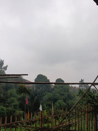 A landscape scene unfolds beneath a cloudy sky. A rough wooden fence and bamboo structure frame the view. In the midground, lush green trees and foliage create a dense forest, with a glimpse of a building's roofline behind the trees. Colorful flags add a small pop of color amidst the greenery. The overcast sky dominates the upper portion of the image.