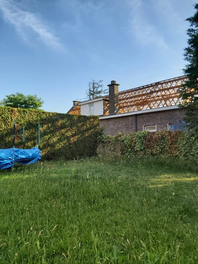 The image captures a residential backyard in Dendermonde, Belgium, under a clear blue sky with scattered clouds. The foreground is dominated by a field of tall, green grass, interspersed with wildflowers. To the left, a blue tarp is draped over an unseen object, supported by green poles. Behind this, a dense, dark green hedge stretches across the middle ground, casting diagonal shadows from the sunlight.
Further back, a brick house is visible. Its roof is undergoing renovation, with the wooden trusses exposed. A chimney with dark bricks stands prominently on the roof. The house has a section with white siding and a window with a triangular pattern. Along the hedge in front of the house, a second, lower hedge with lighter green and brown foliage is present. The background features trees and more foliage, hinting at a suburban or semi-rural setting. No people are visible in the image.